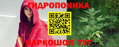 spice Краснознаменск