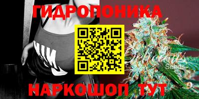 a pvp Краснокаменск