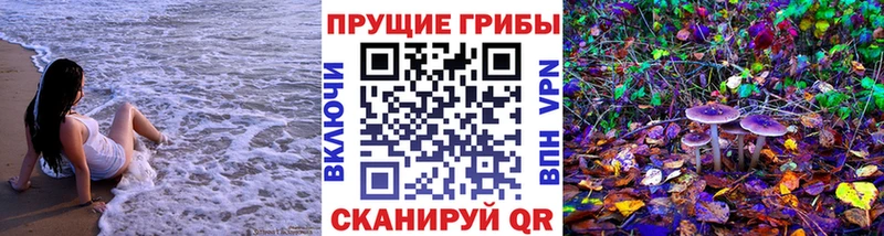 blacksprut ONION  Дербент  Галлюциногенные грибы Cubensis  купить  