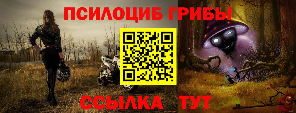 Дербент  закладка  Вход с VPN  Галлюциногенные грибы ЛСД  Псилоцибиновые грибы MAGIC MUSHROOMS 